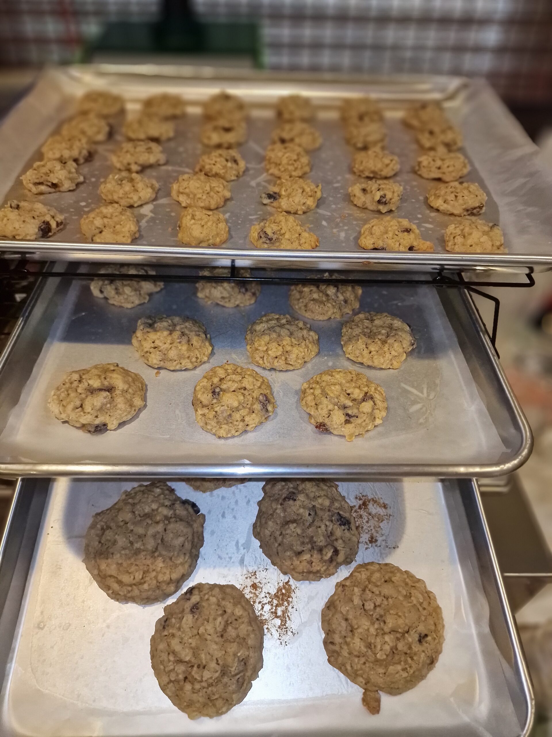 Jedi Infusions House Cookie Collection - Image 3